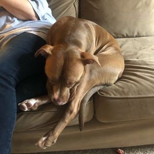 Meet your Posher, Alec